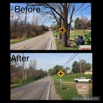 Residential Tree Work