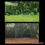 Land Clearing- Property Management