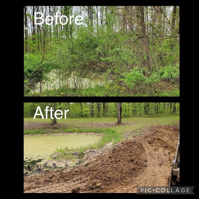 Pond Clearing