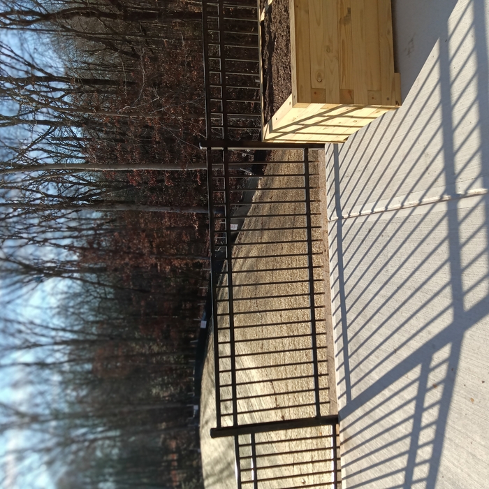 fences