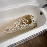 tub