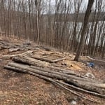 Logging project.