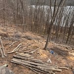 Logging project.