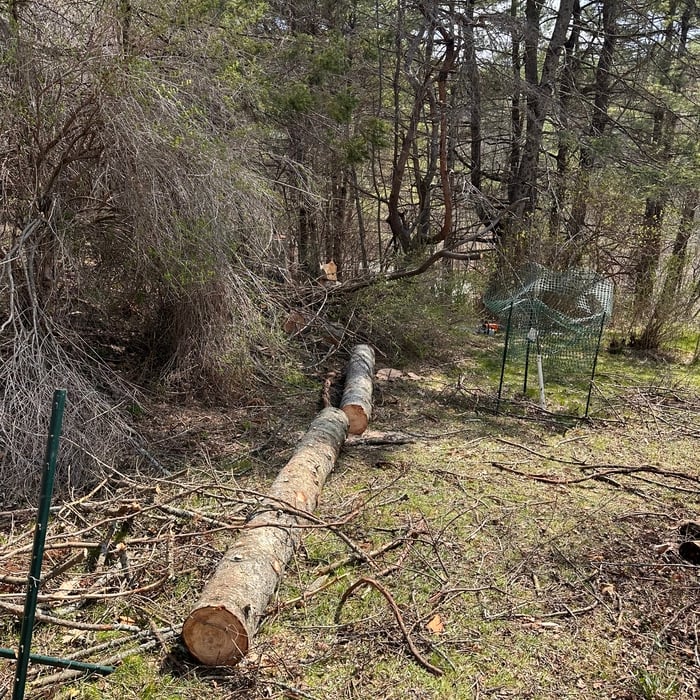Storm damage.