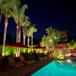 Backyard Landscape Lighting