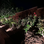 Backyard Landscape Lighting