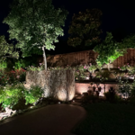 Backyard Landscape Lighting