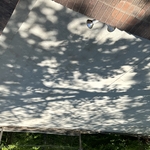 Driveway Cleaning