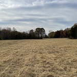 35 acres of high grass
