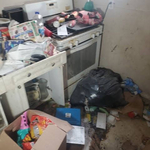 Hoarder House Cleanout