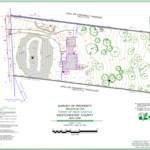 Topographic Survey