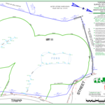 Wetland Mapping
