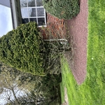 Elevation trimming