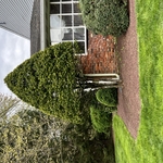Trimming