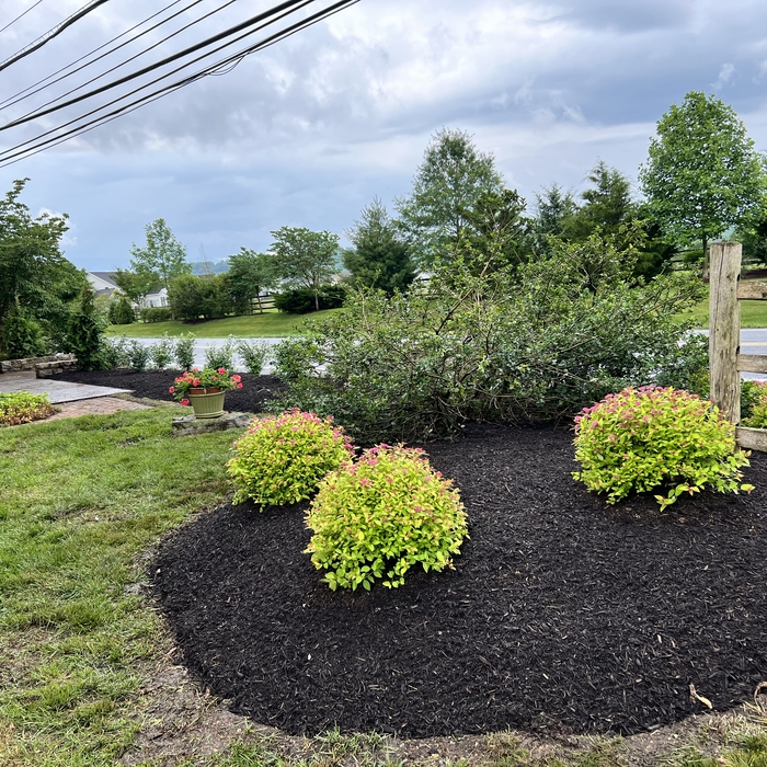 Mulch