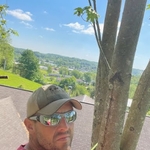 Additional Tree Work