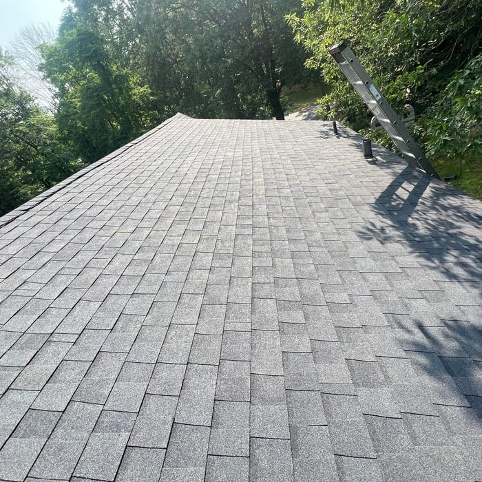 New shingles