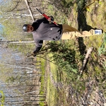Tree Trimming