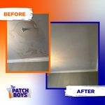 Ceiling Repair