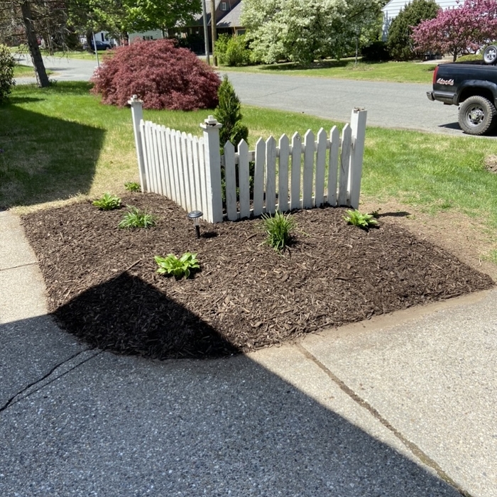 Garden bed install