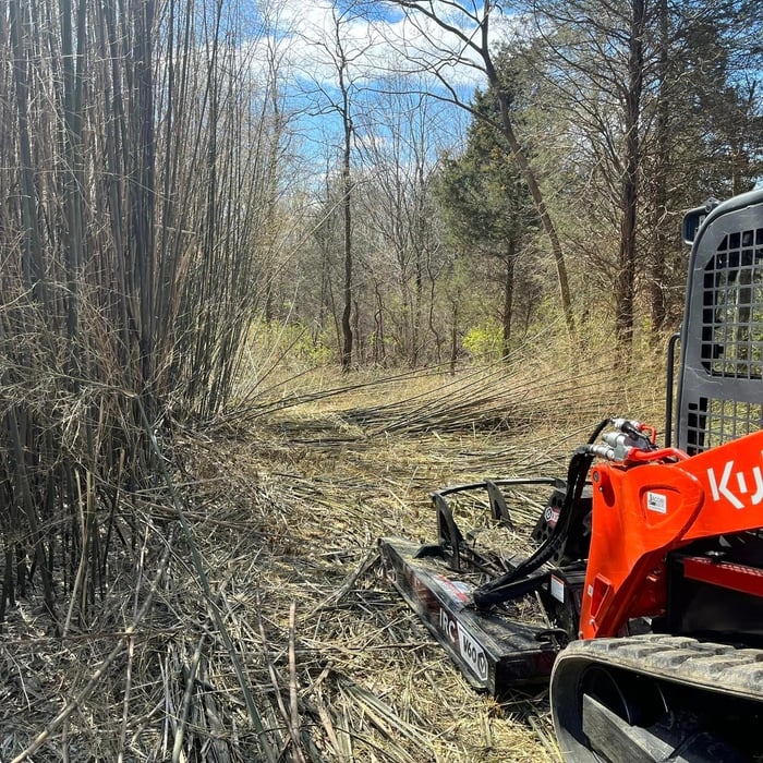 Land Clearing
