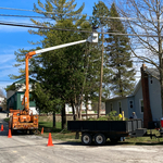 Tree Removals