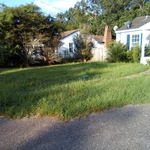 Lawn Maintenance