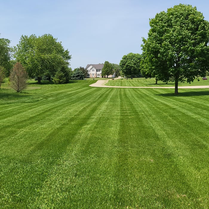 E&D Lawn Service