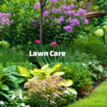 Lawn Care