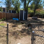 Lawn Cleanup