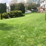 Lawn