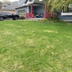 Lawncare