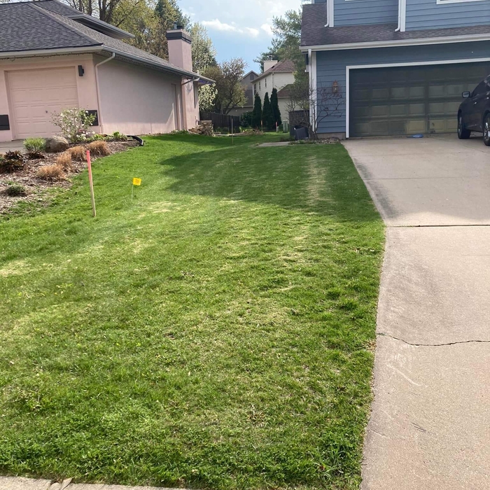 Mowing Lawn