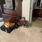 General clean