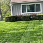 Lawn done with a push mower