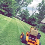 Backyard Mow