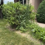 MULCHBED