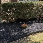 MulchBed Cleanup