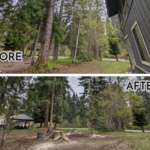 Cottonwood Removals
