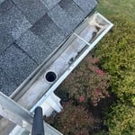 Gutter cleaning