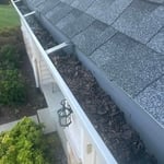 Gutter cleaning