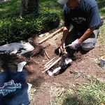 Valve Replacement