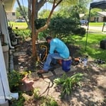 Sewer Camera Inspections