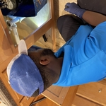 Garbage Disposal Job