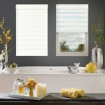 Transitional Shades