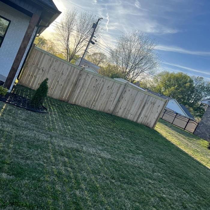 Wood Fence