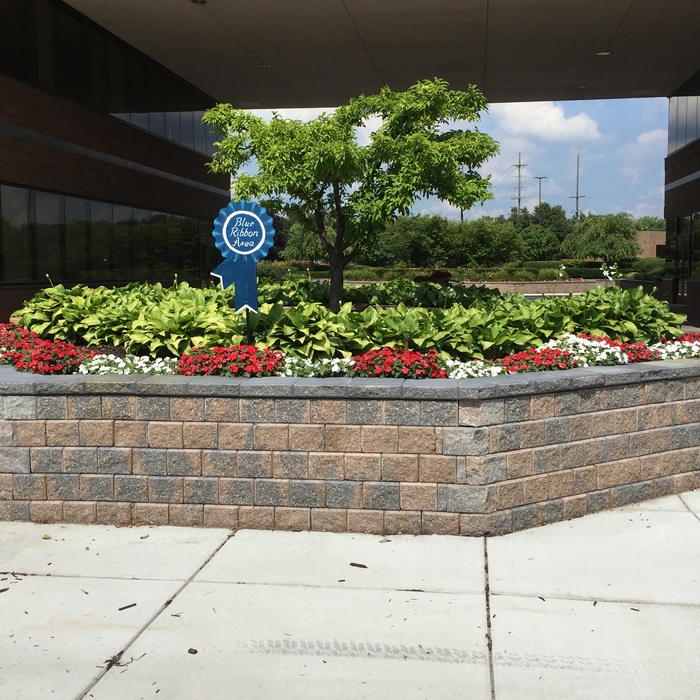 Citizens Insurance