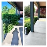 Back Patio