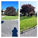 Front yard