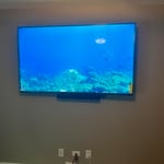 Mounted TV